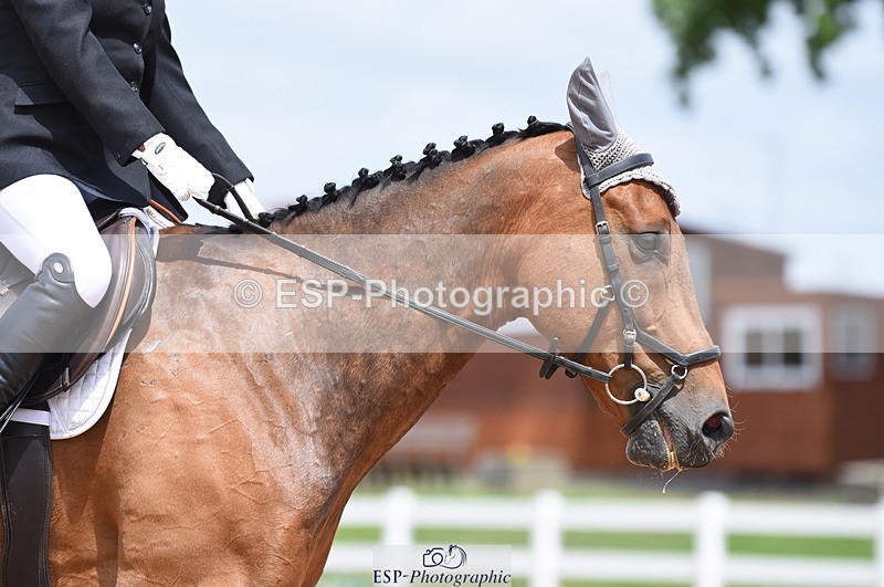 230702A-140242-10449 - Cls 1, 3+4 Intro A, Prelim 12+18