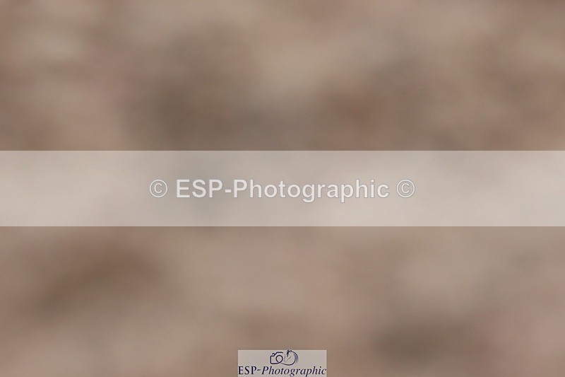 250622-123123-14881 - Cls 50 Elementary 5 Start to 13.10