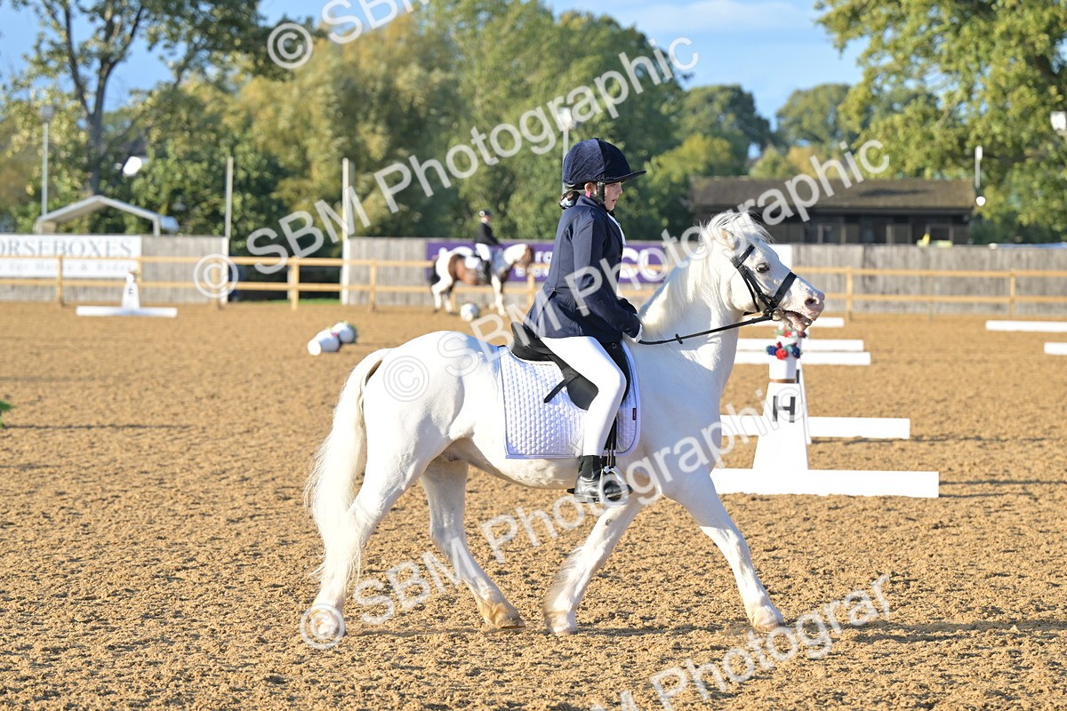 SBM_13253 - D3 - Small Tour Championship Intro 3