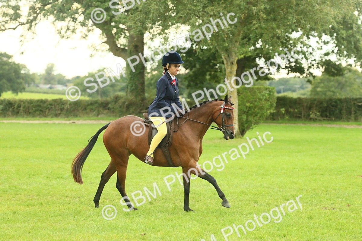 SBM_73930 - S 61 - Show Pony & Show Hunter Pony Ridden