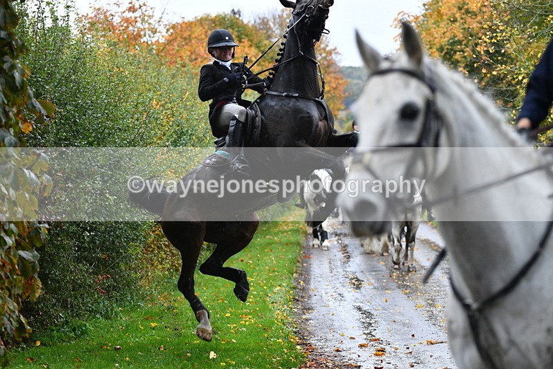 WJ5_6283 - B&B walk back for Hunt Tea !