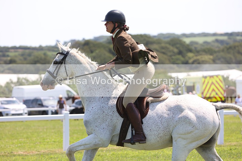 JPP_2695 - Class 21: Working Hunter 60cm