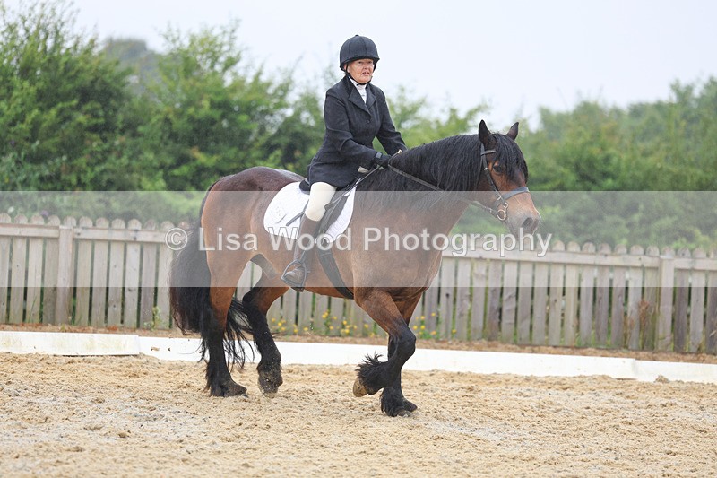 3E7A8462 - Class 2: Intro 3 2024 section B