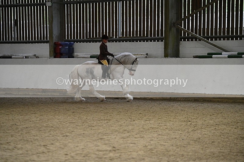 WJ7_3754 - Class 16 Ridden Coloured/ Odd Coloured