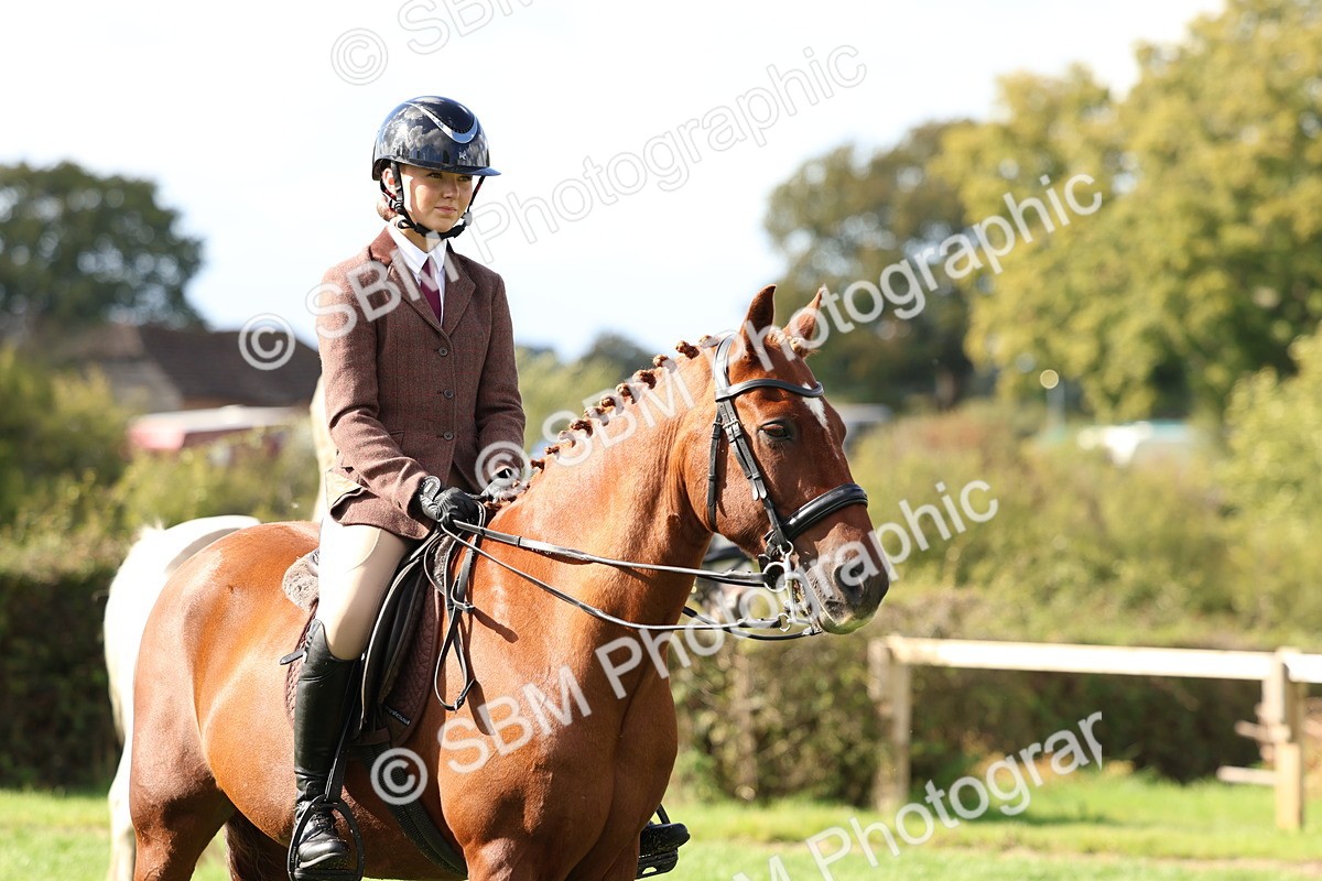 SBM_47823 - S28 - Veteran Ridden