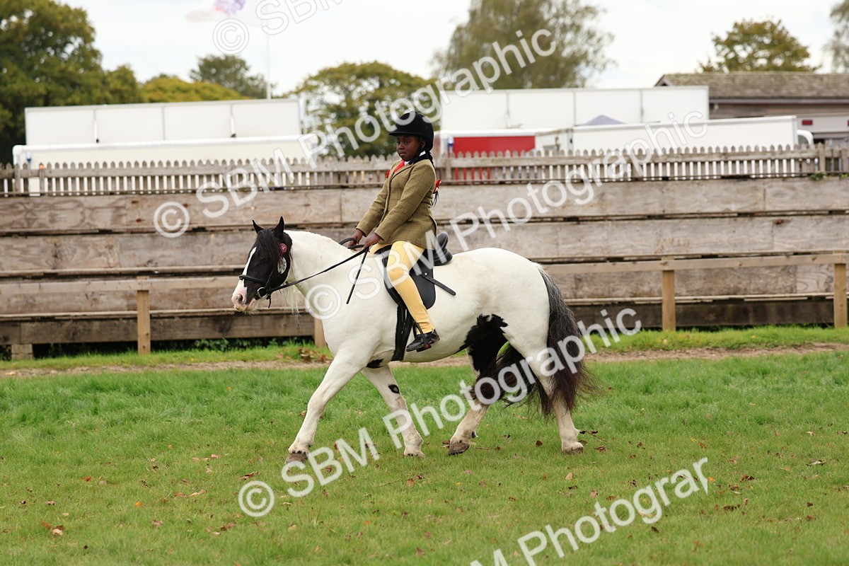 SBM_64583 - S58 - Coloured Pony Ridden