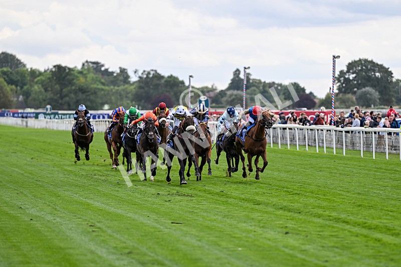 210826-Race 3-Arapaho Gold-5722 - Race 3 15.00pm Al Basti Equiworld Dubai Gimcrack Stakes