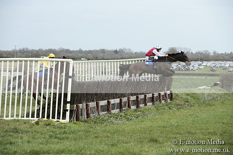 PtP 230319 38 - VWH Hunt Siddington Point-to-Point Racing 23/03/19