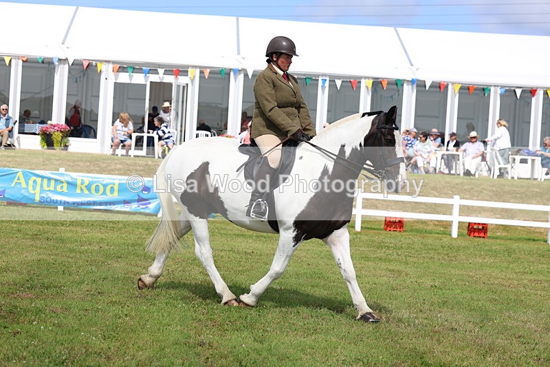 3E7A9929 - Class 5: Rising Star Lightweight/Heavyweight Cobs