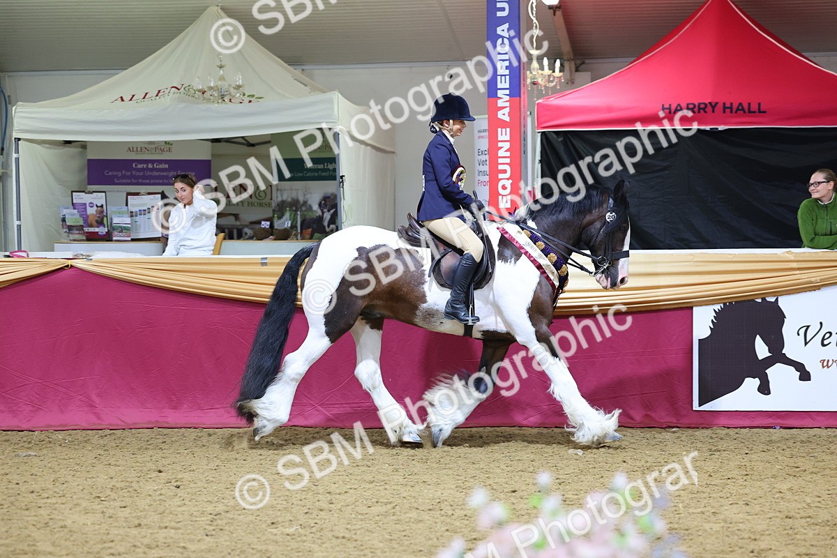 SBM_18608 - Class B Junior Champ 11-16 years