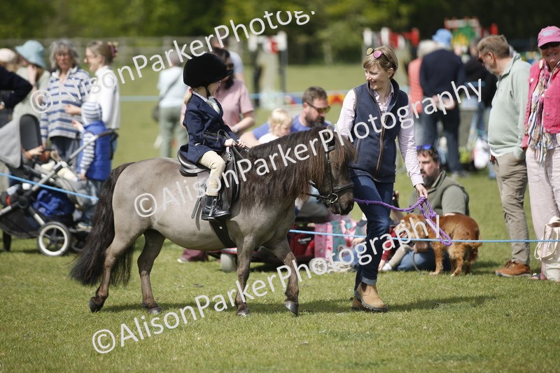 20260426-1819 - Class 7 - Pony Judge Would Most Like To Take Home