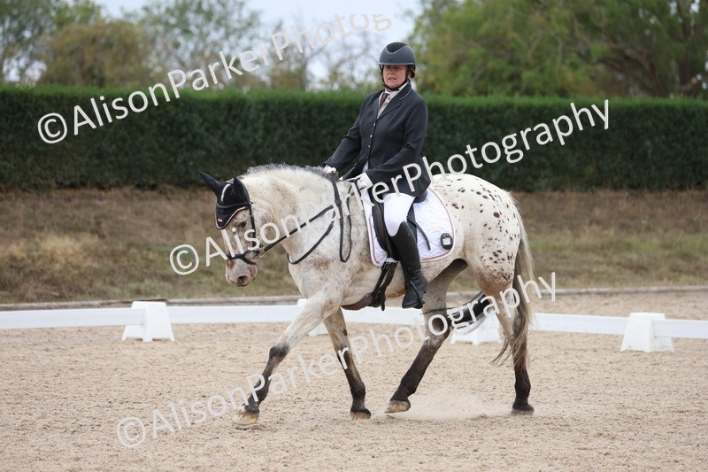 20250820-0281 - Class 9 - My Quest Prelim 3