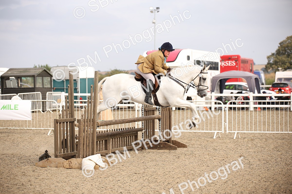 SBM_17273 - Class 410a - Wor5king Veteran 90cm (15-19)