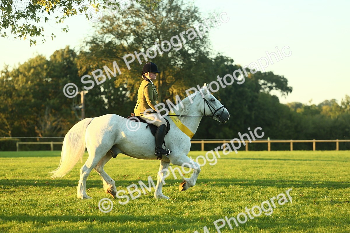 SBM_56610 - Fun & Versatile Supreme Championship