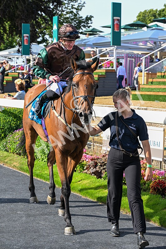 110726-Race 7-Magic Boy-8836 - Race 7 17.30pm John Smith's Sprint Handicap