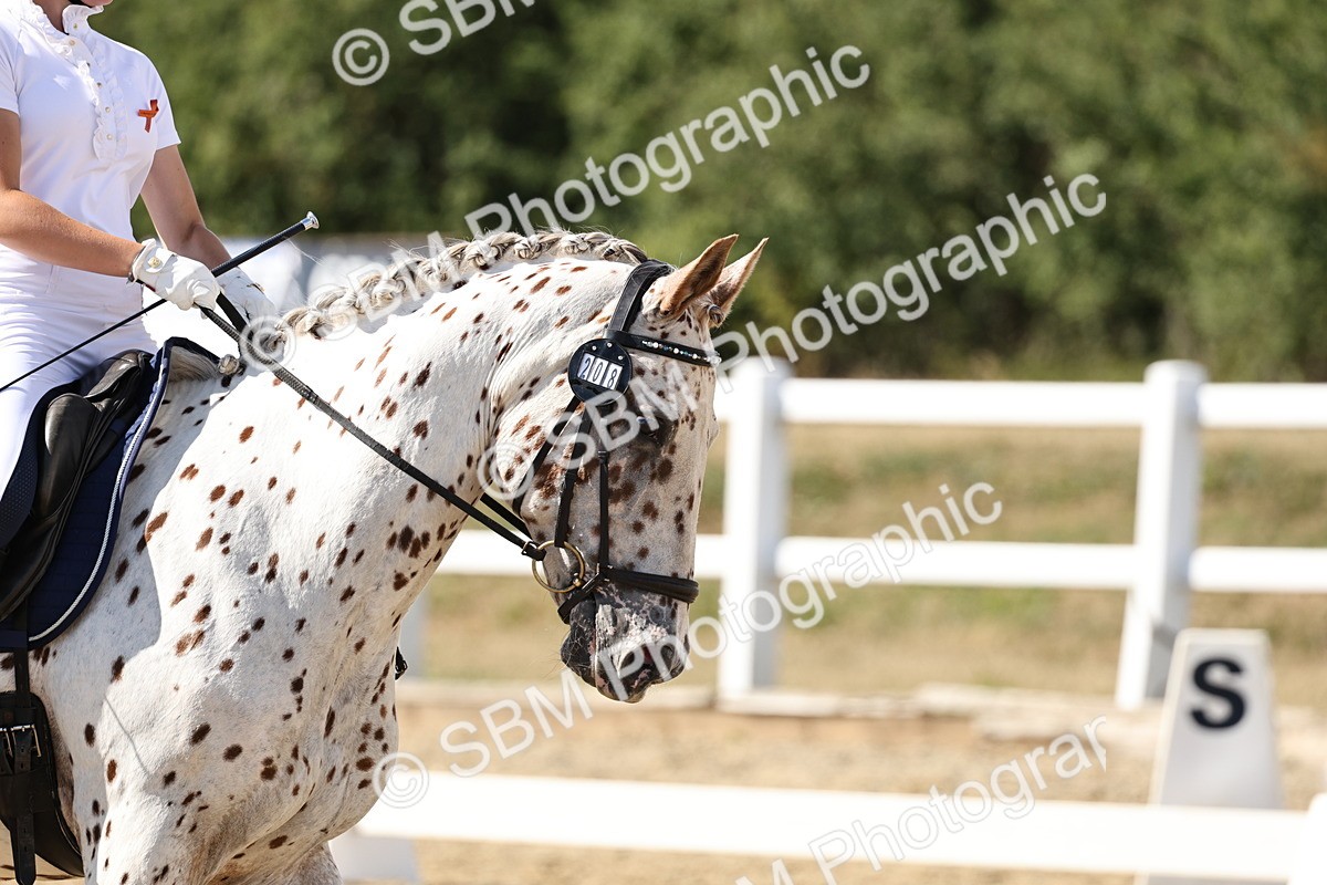 SBM_003969 - Prelim 4 - 16.21-17.31