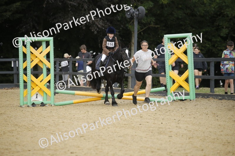 20250622-1332 - 40cm