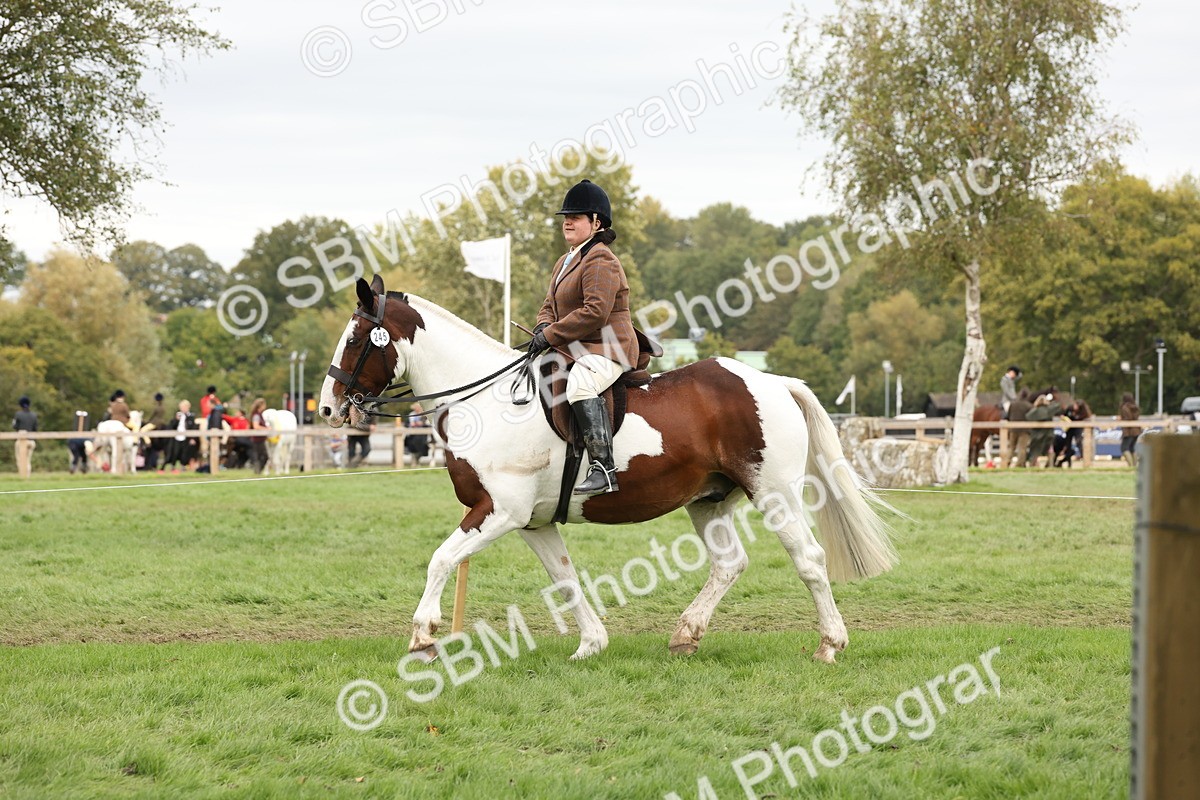 SBM_67250 - S67 - Piebald & Skewbald Horse Ridden