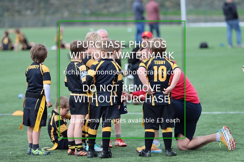 IMG_2934 - Kendal Rugby Under 7's (27/4/24)