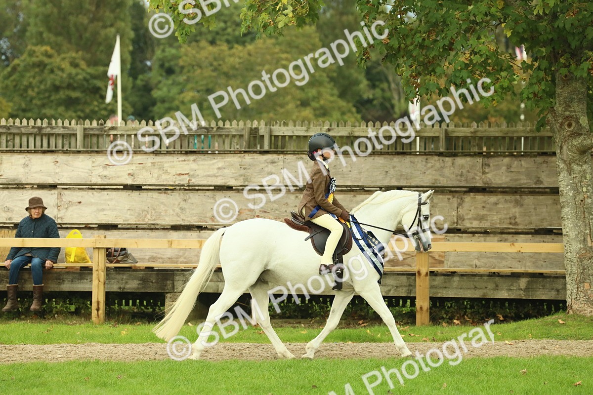 SBM_75244 - Super Supreme Championship