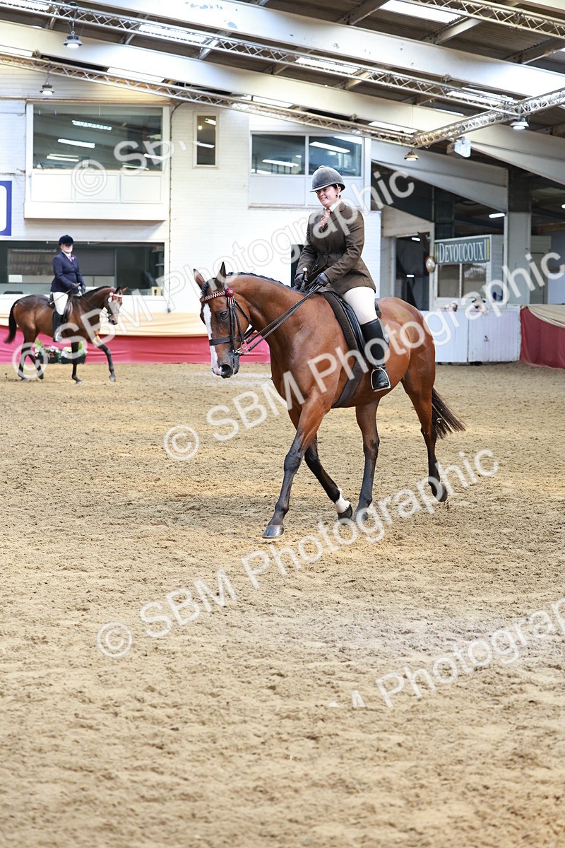 SBM_14901 - Class 108 - Ridden Retired Racehorse