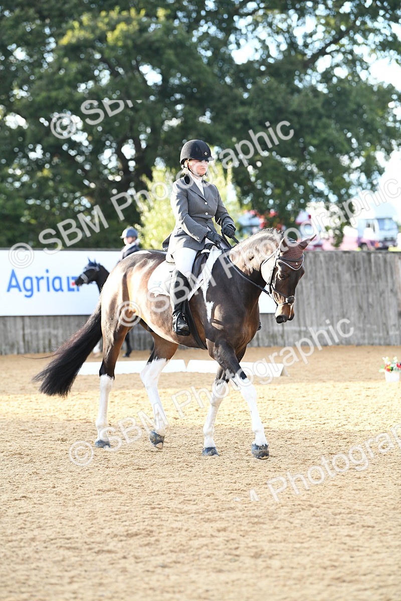 SBM_13386 - D19 Small Tour Championship Elementary 42