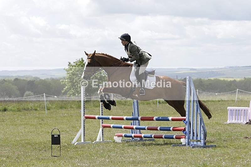 BVHT 140517 N-321 - Class 2 SJ Novice 14/05/17