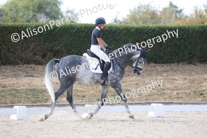 20260815-1005 - Class 5 - Novice 1