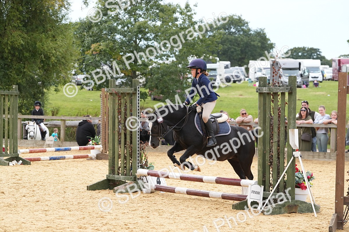 SBM_70633 - J3 - Mini Tour Junior Pony 40cm Championship