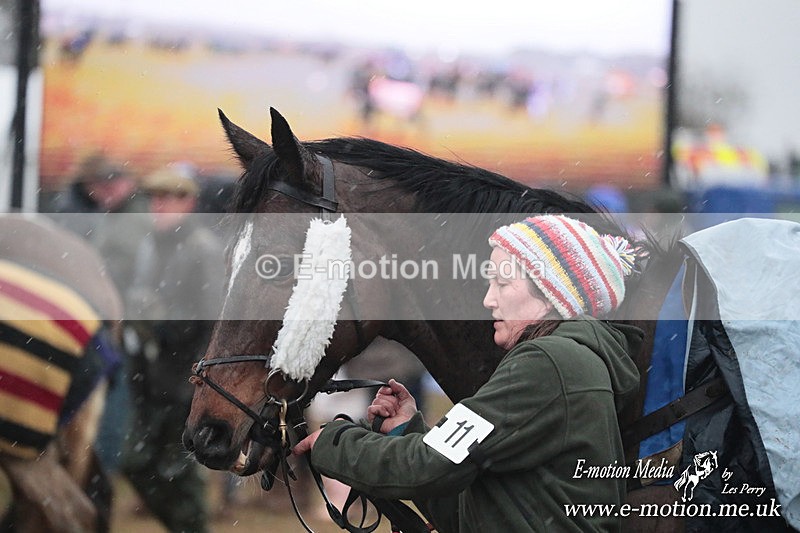 PtP 260125 995 - Cocklebarrow Point-to-Point racing with the Heythrop Hunt 26/01/25