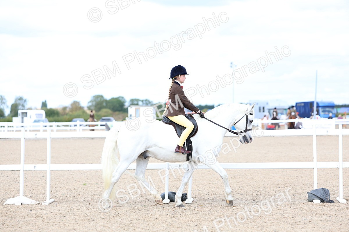 SBM_15761 - Class 314 - Family Horse - Pony