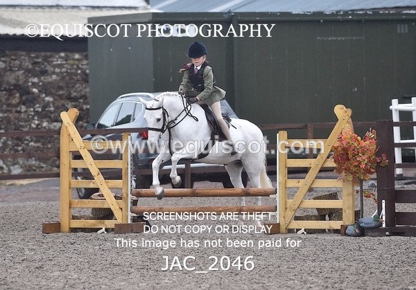 JAC_2046 - CLASS 1 Nursery Novice Working Hunter