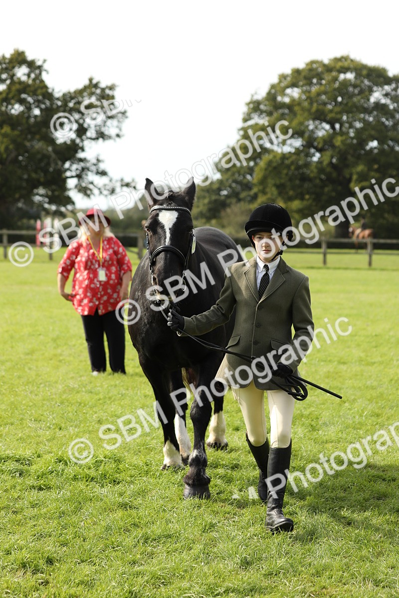 SBM_68668 - S40 - Junior Handler 9-12 Years