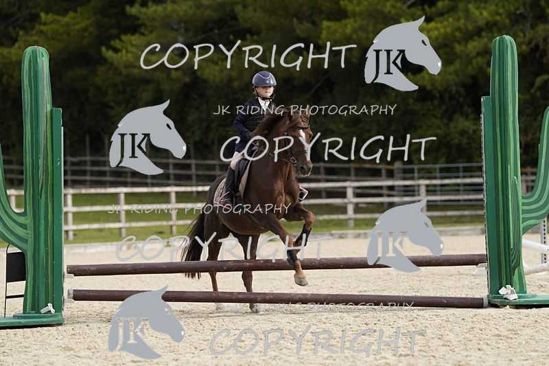 _DSC0036 - Mini Pairs