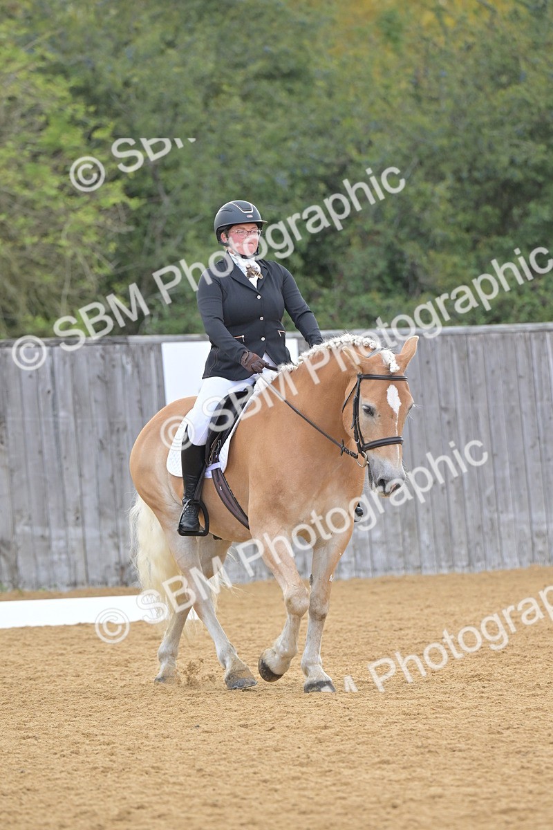 SBM_11159 - D3 - Small Tour Championship Intro 3
