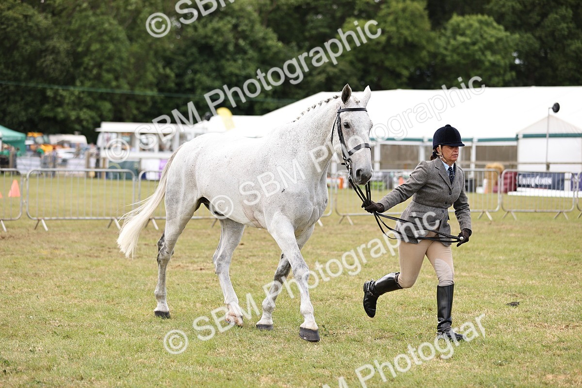 SBM_14736 - Class 88-89 - LIHS BSHA Rising Star of Ridden Hunter Type