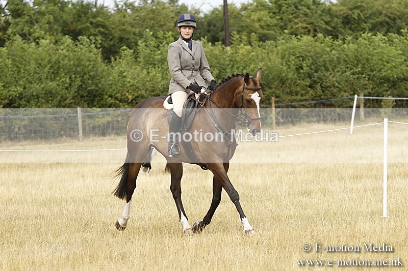 _BS_0640 - BVRC Show 2018 Ring 3