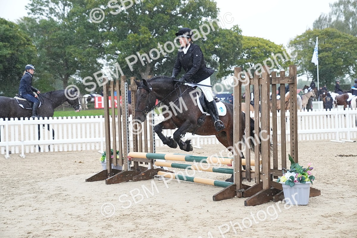 SBM_01647 - J54 - Clear Round 50cm