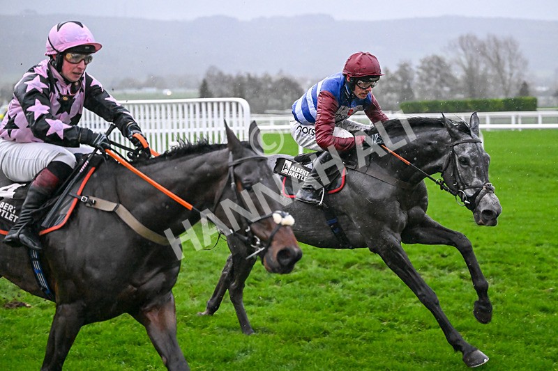 141125-Race 5-No Drama This End-1002 - Race 5