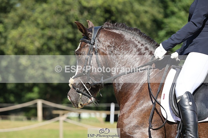 240719-094439-00241 - 262-Leia_Bower-Horeb_Llew