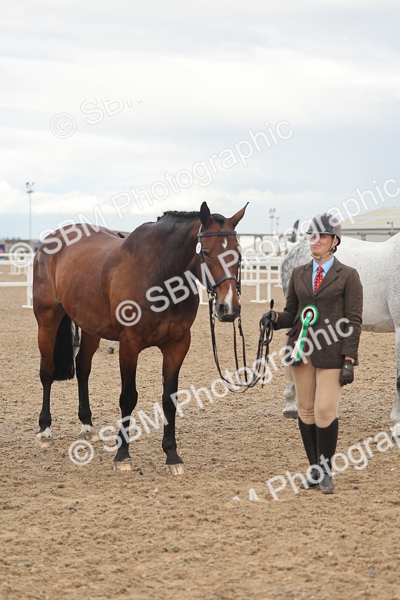 SBM_07949 - Class 28 - IH Veteran Horse