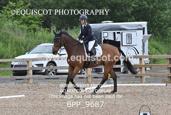 BPP_9687 - 15 T WIGHTMAN