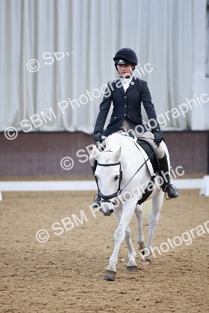 SBM_004516 - Ring 3 - International -  Working Hunter Classes 23-2-25