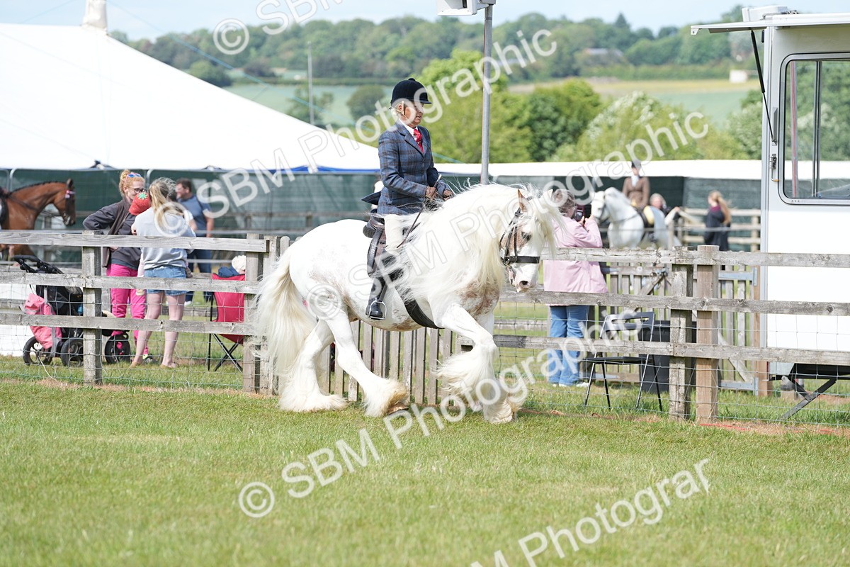 SBM_17137 - Class 107-108 - LIHS BSPS Performance Coloured Horse Pony
