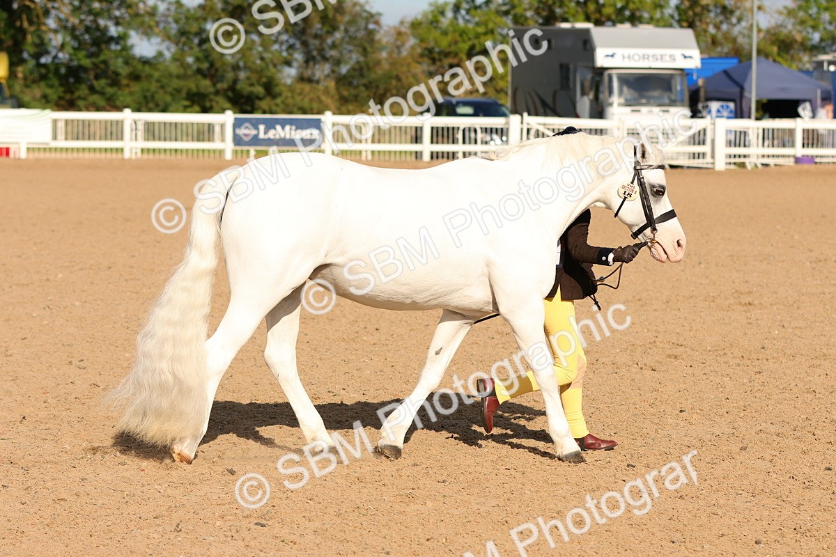 SBM_08654