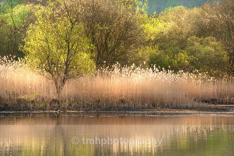 Springtime on the water. - Lakedistrict