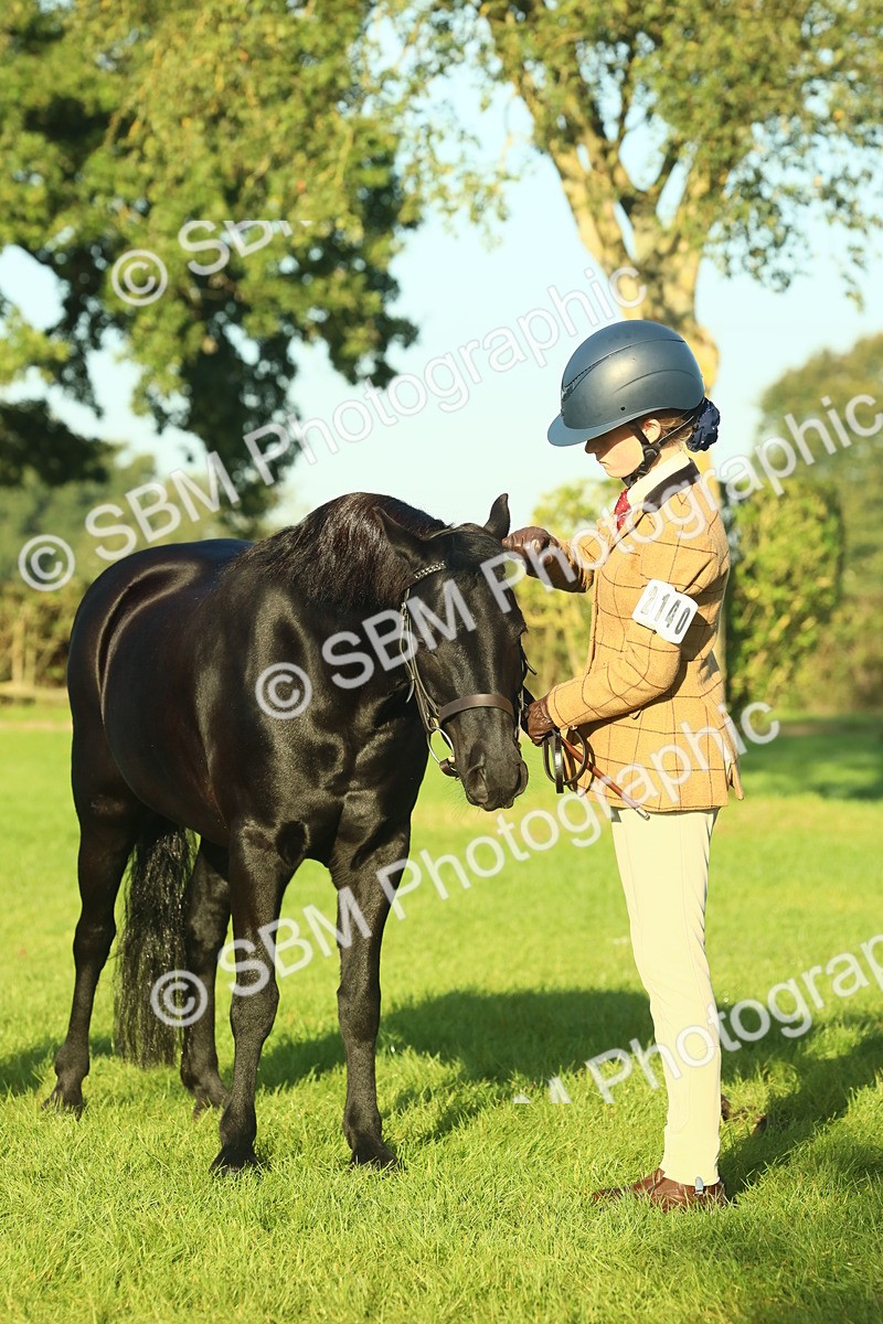 SBM_57458 - S37 - Starters In Hand Showing