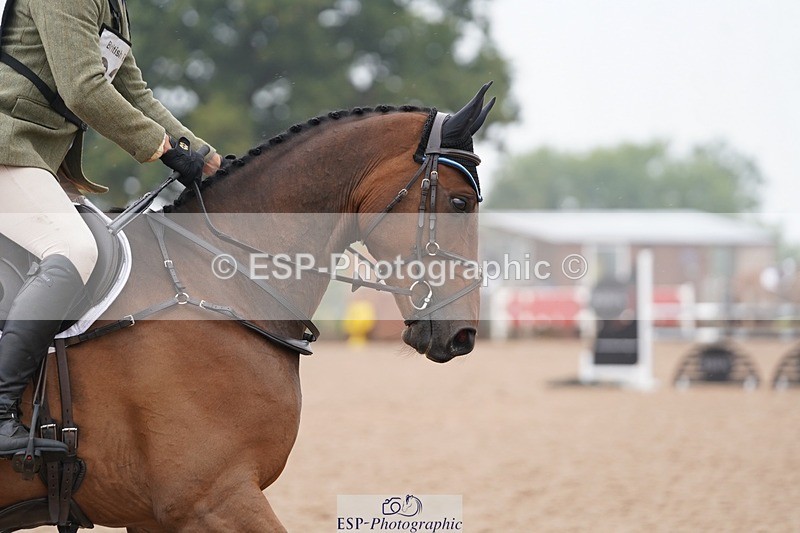 240901A-114828-06688 - 322-Harry.Dzenis-ARKADIUM