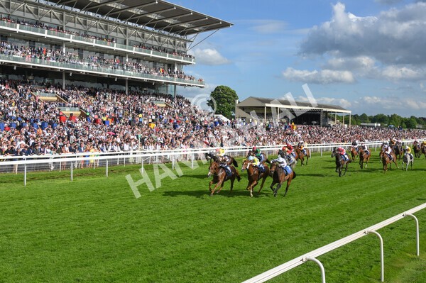 yr21052022r7-30 - Race 7: 5:15pm Reg Bond Always and Forever Stakes