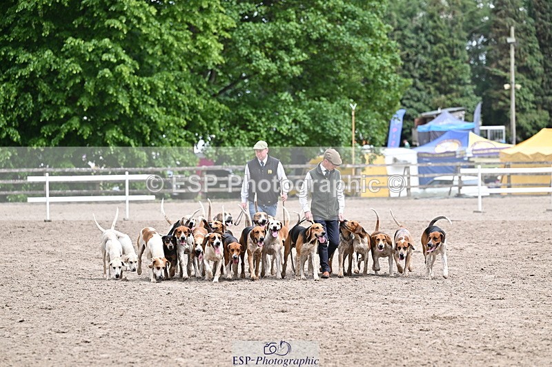 250524A-152203-12686 - East Devon Hounds